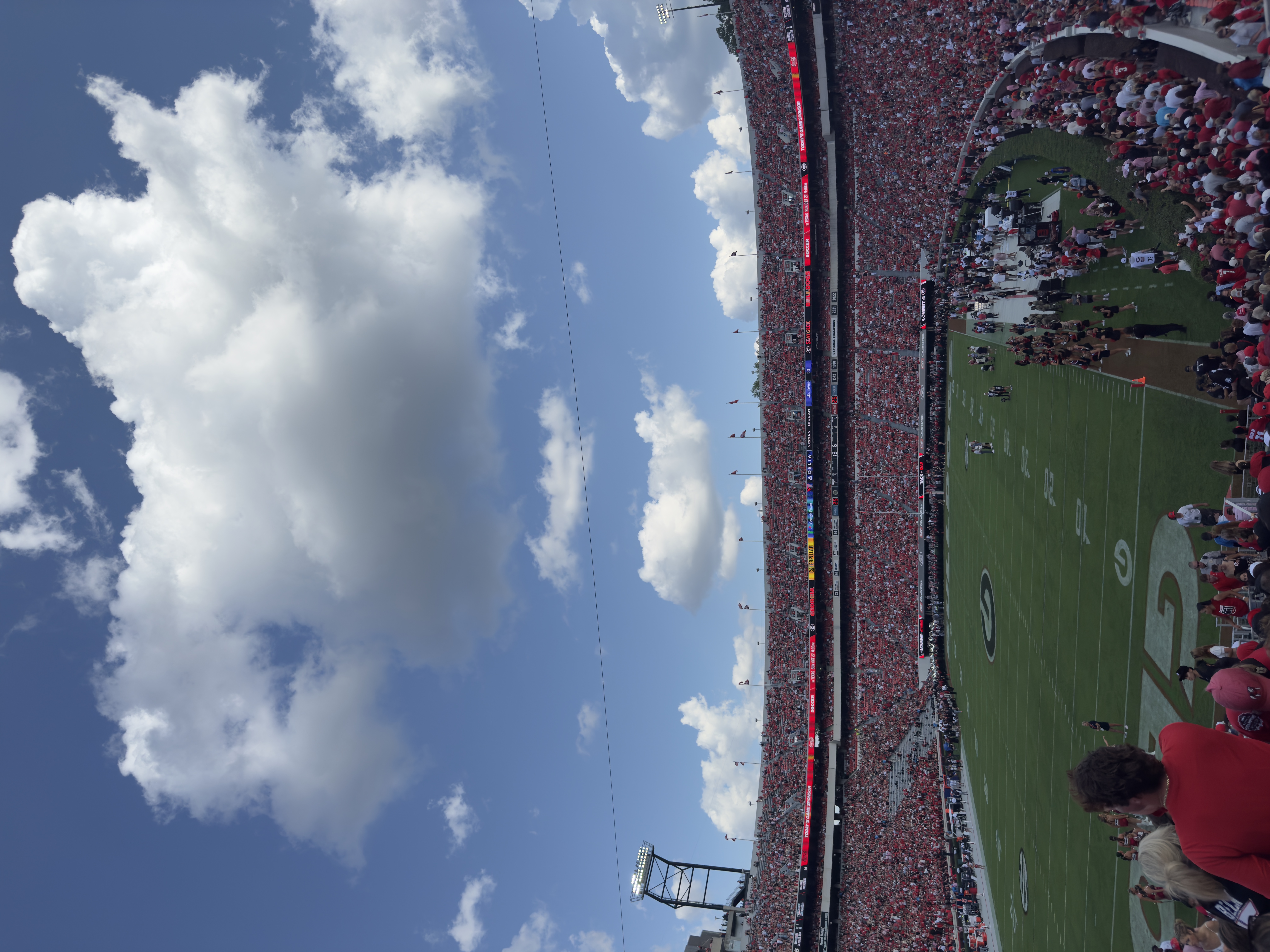 Between the Hedges