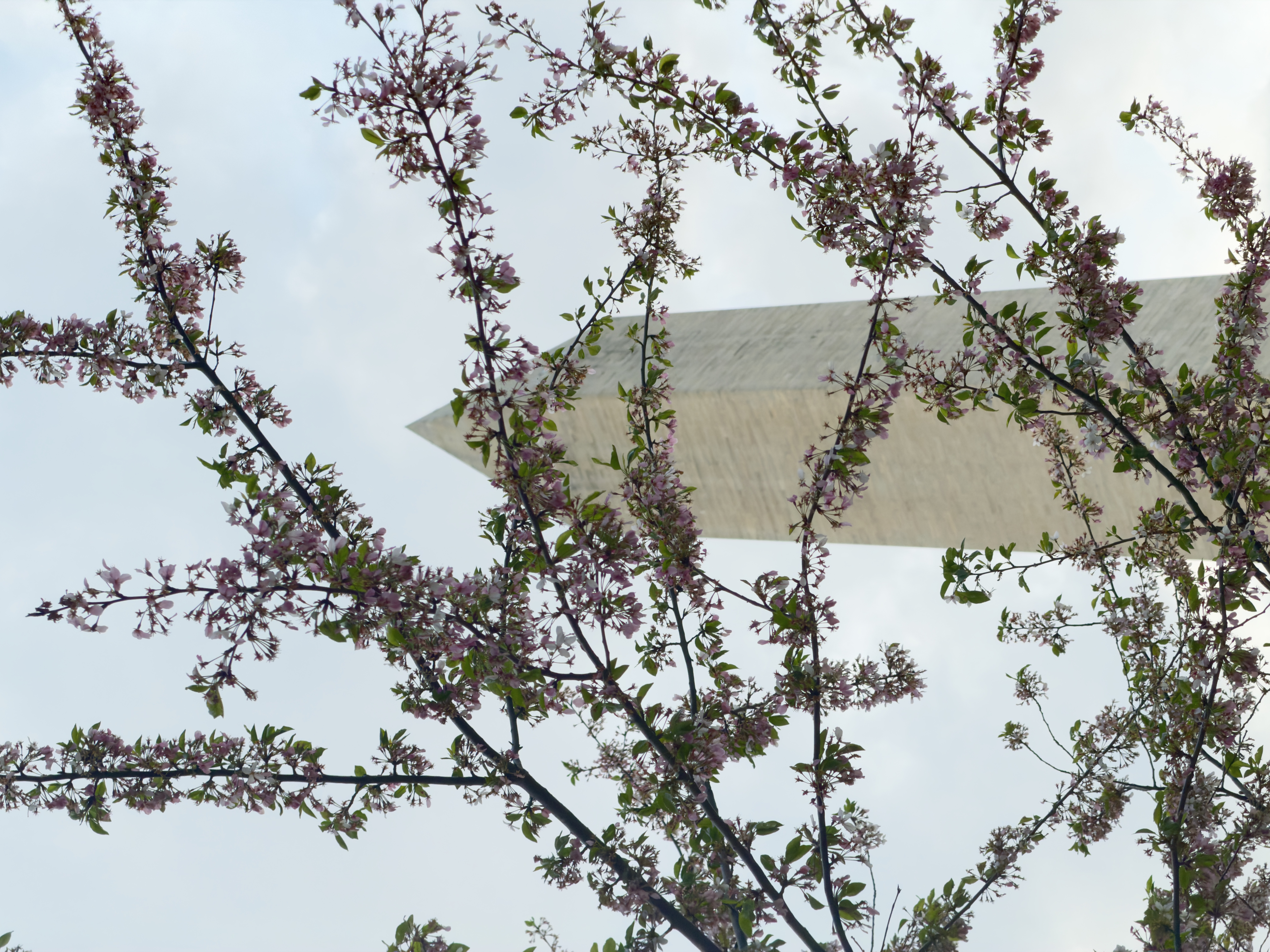 The Obelisk
